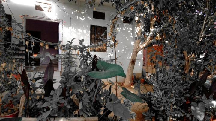 Hotel The Pushkar Flower Exterior foto